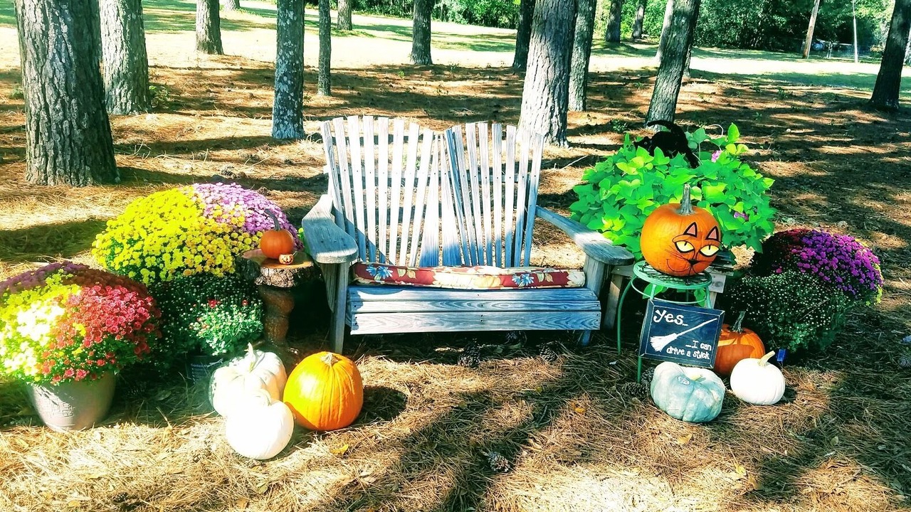 Photo of Outdoor in Aiken