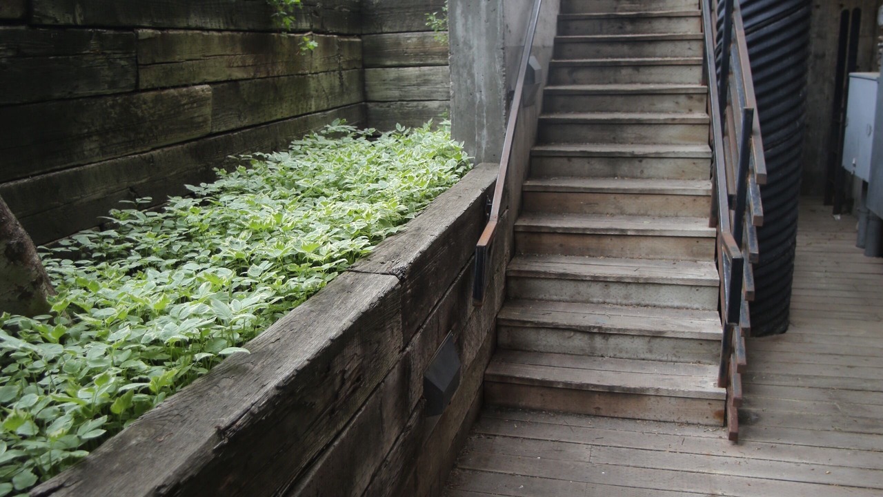 Photo of Outdoor in Jackson