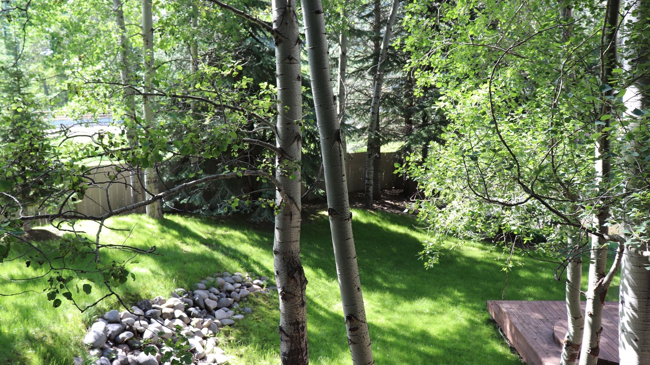 Photo of Outdoor in Warm Springs