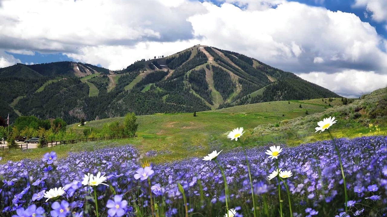 Photo of Others in Elkhorn Village