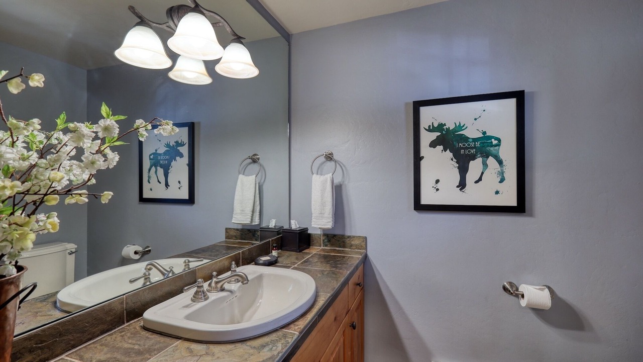 Photo of Bathroom in Big Sky