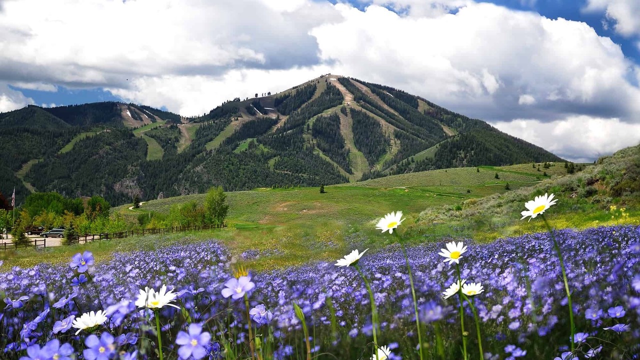 Photo of Others in Ketchum