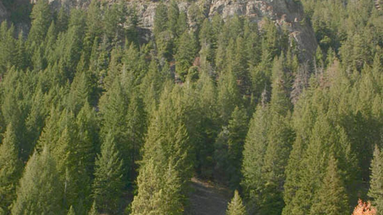 Photo of Others in Ketchum