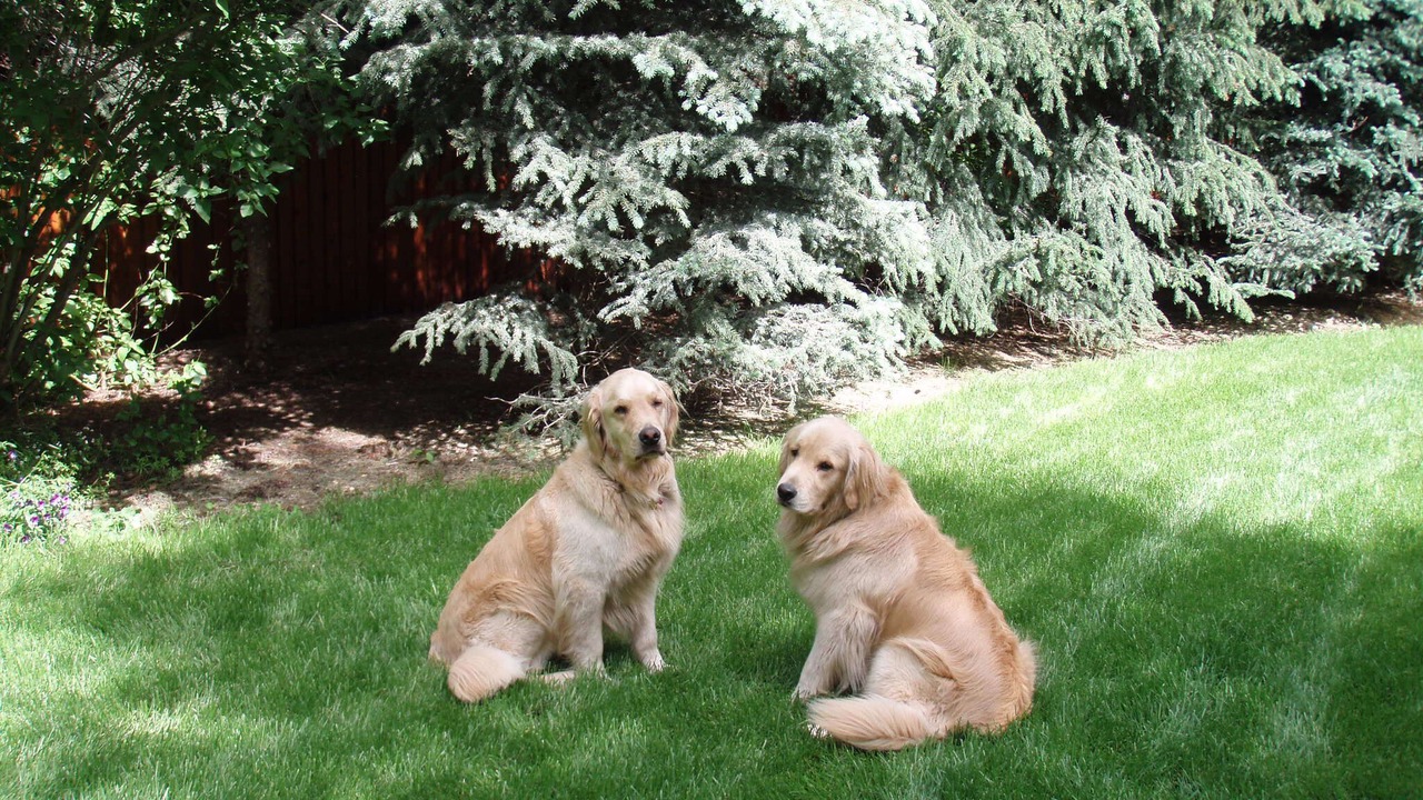 Photo of Others in Ketchum