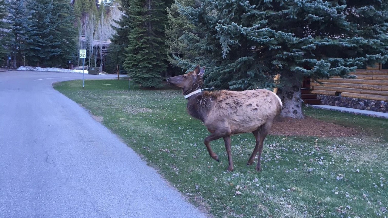 Photo of Others in Ketchum