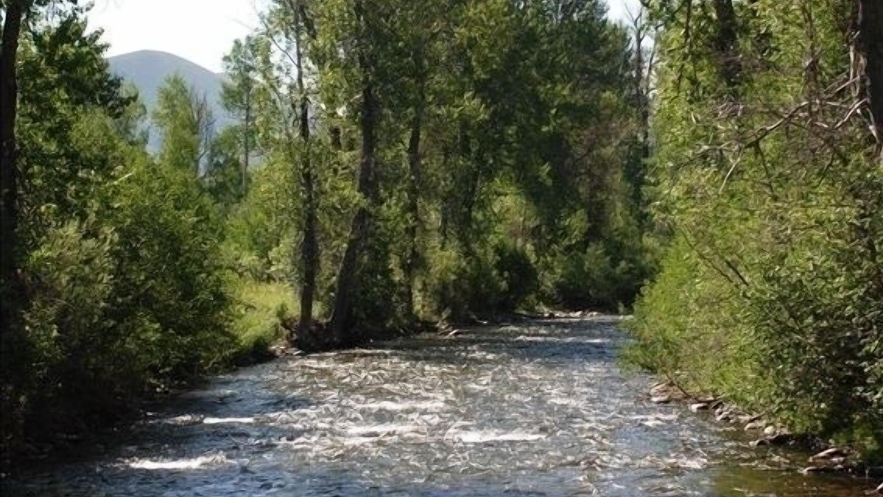 Photo of Others in Ketchum
