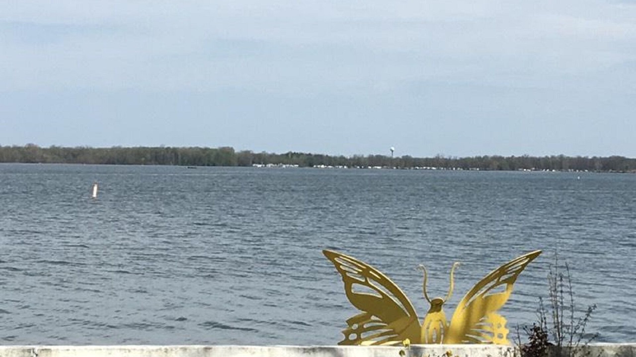 Photo of Others in Lakeview