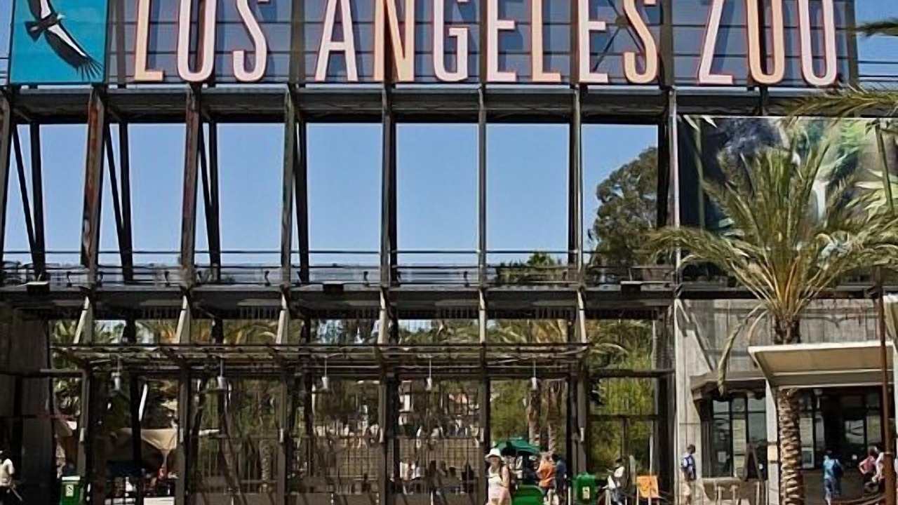 Photo of Others in Burbank