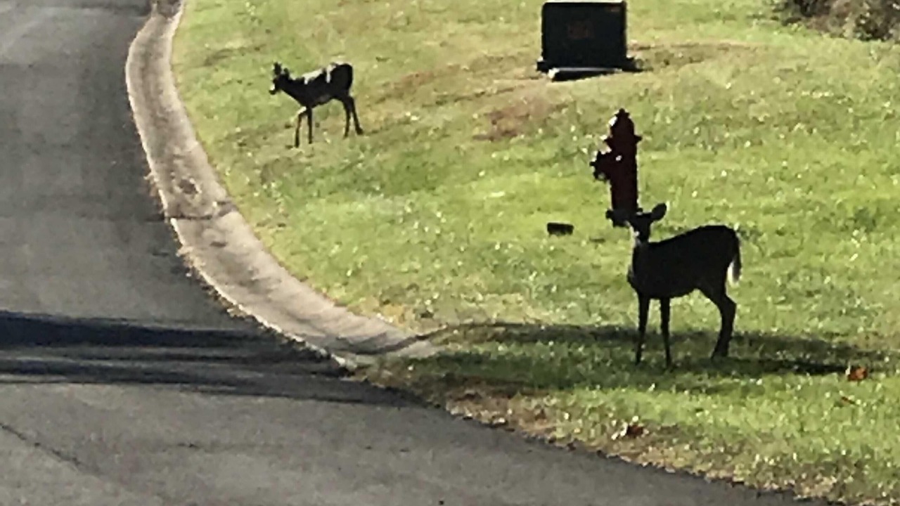 Photo of Others in Taylorsville