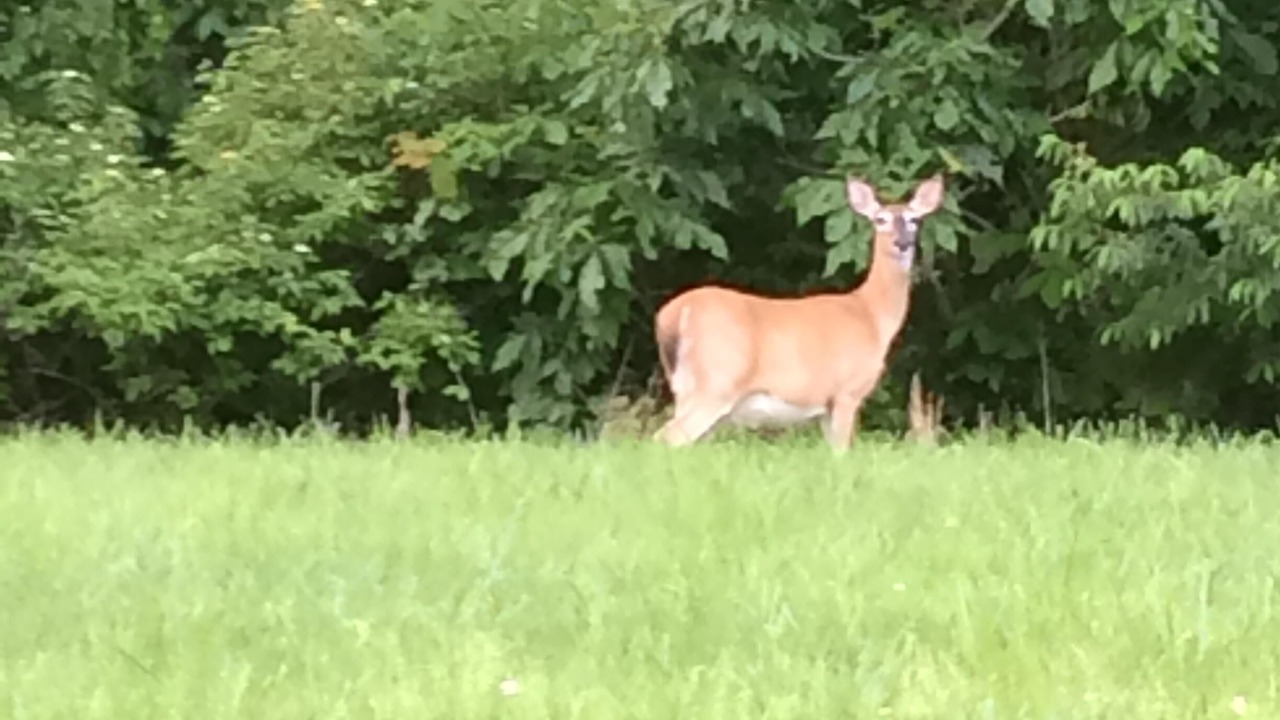 Photo of Outdoor in Taylorsville