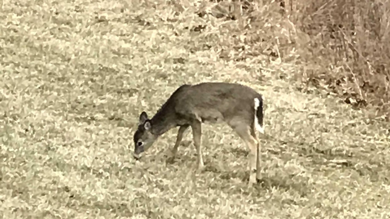 Photo of Others in Taylorsville