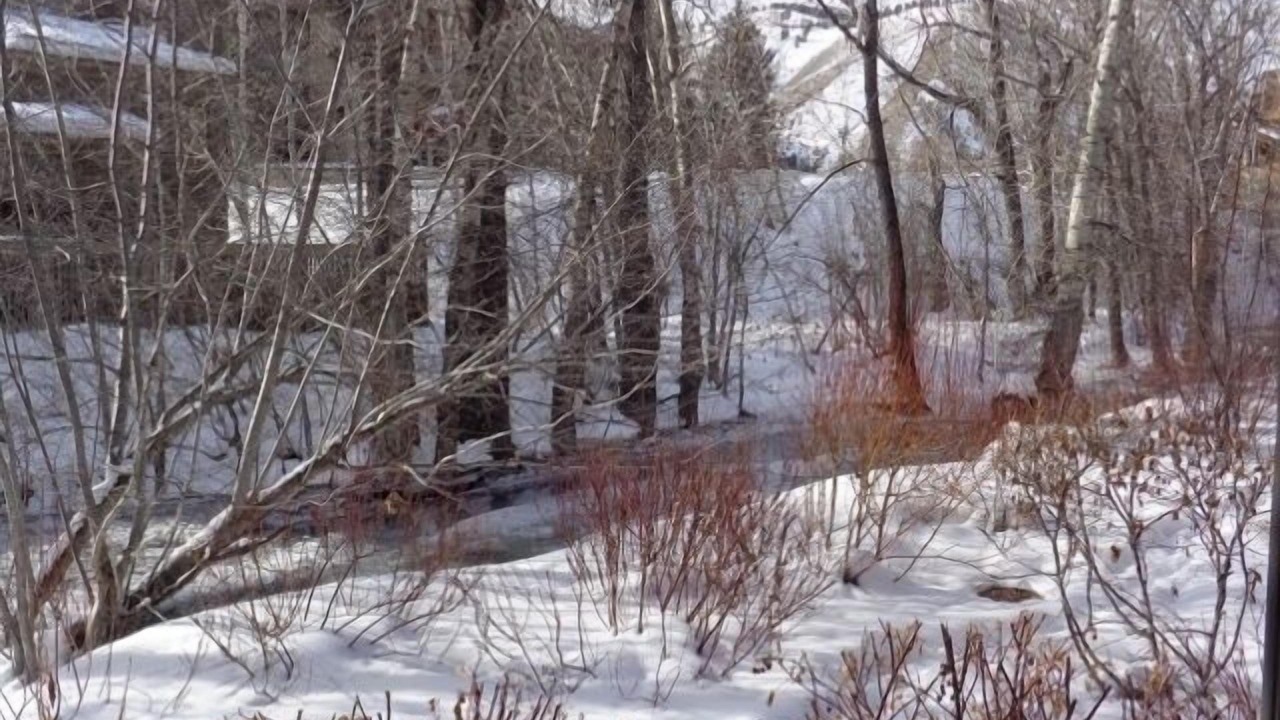 Photo of Others in Ketchum