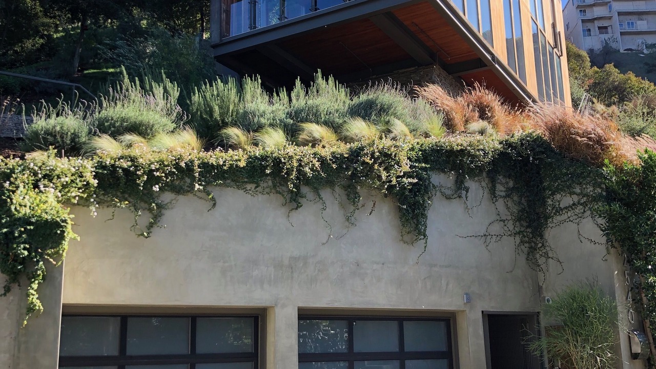 Photo of Outdoor in Laurel Canyon