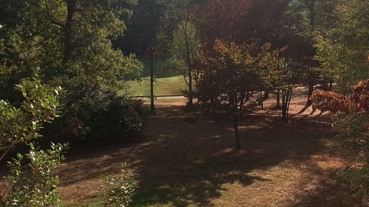 Photo of Others in Sand Ridge