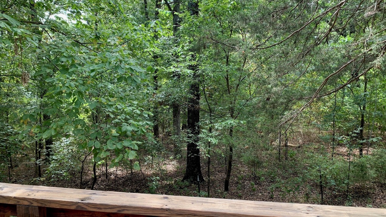Photo of Others in Norfork