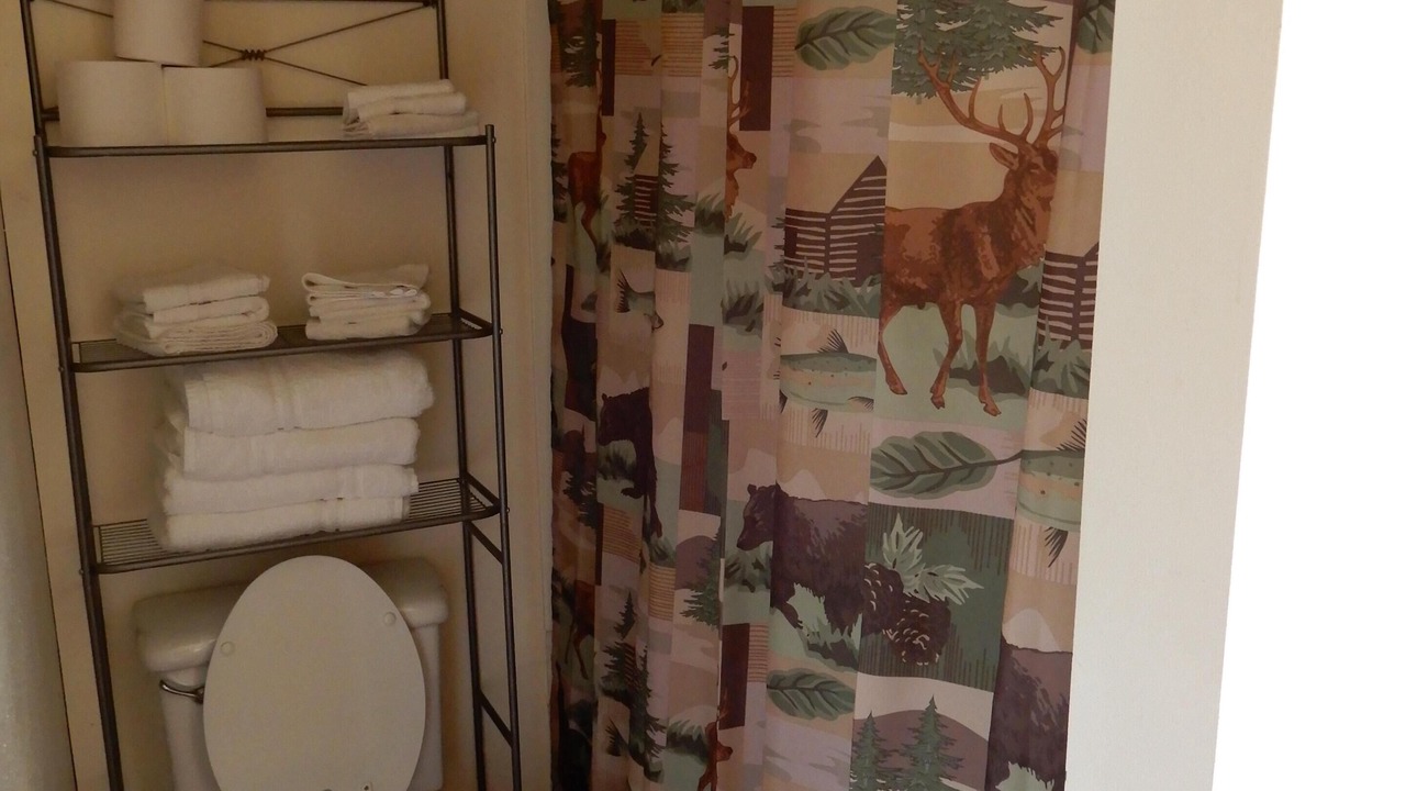 Photo of Bathroom in Bondurant