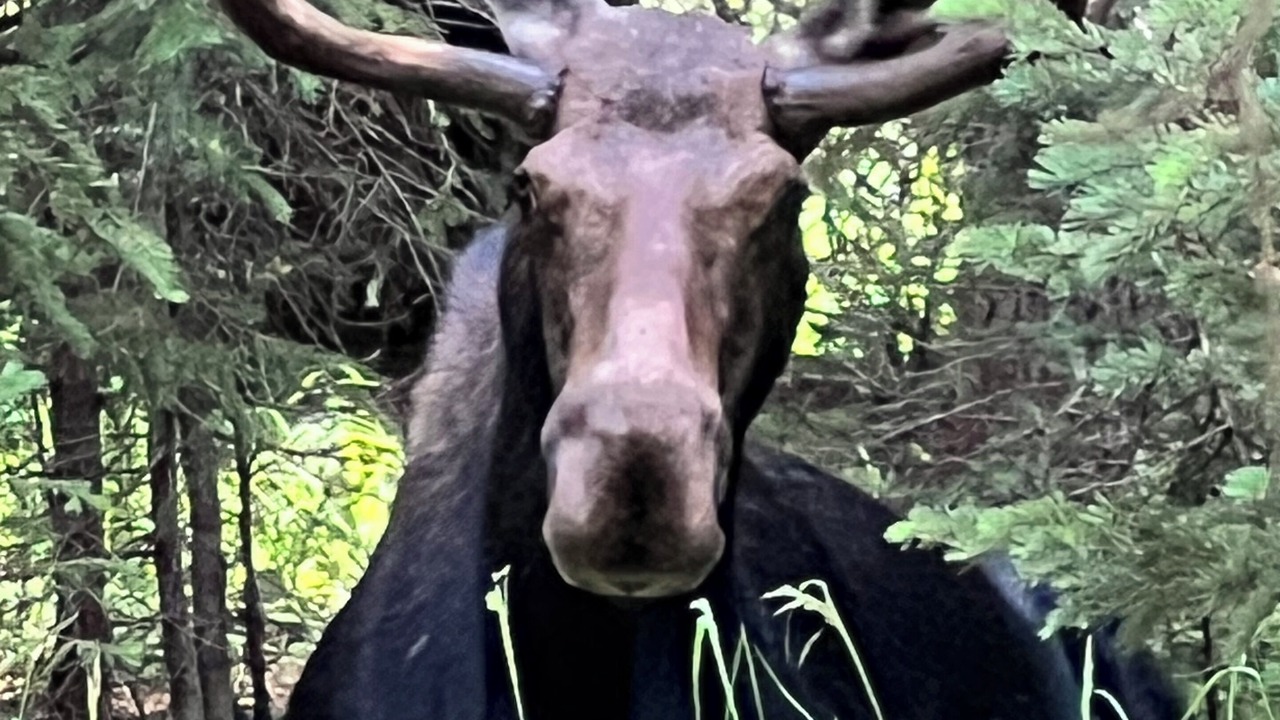 Photo of Others in Meeteetse