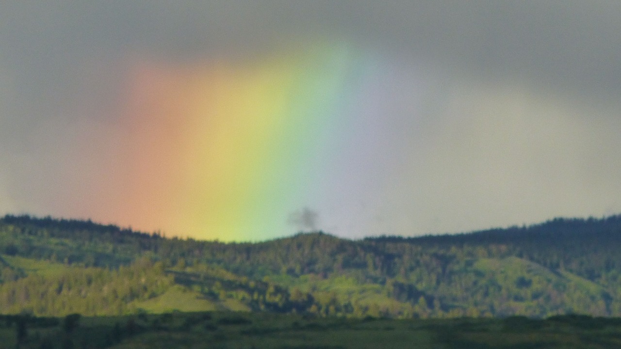 Photo of Others in Jackson Hole
