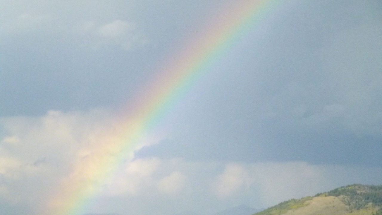 Photo of Others in Jackson Hole