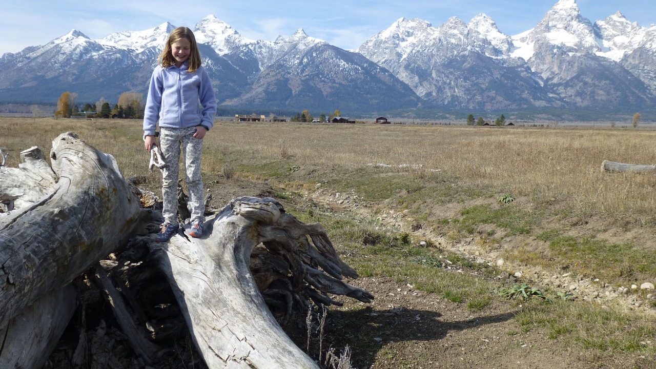 Photo of Others in Jackson Hole
