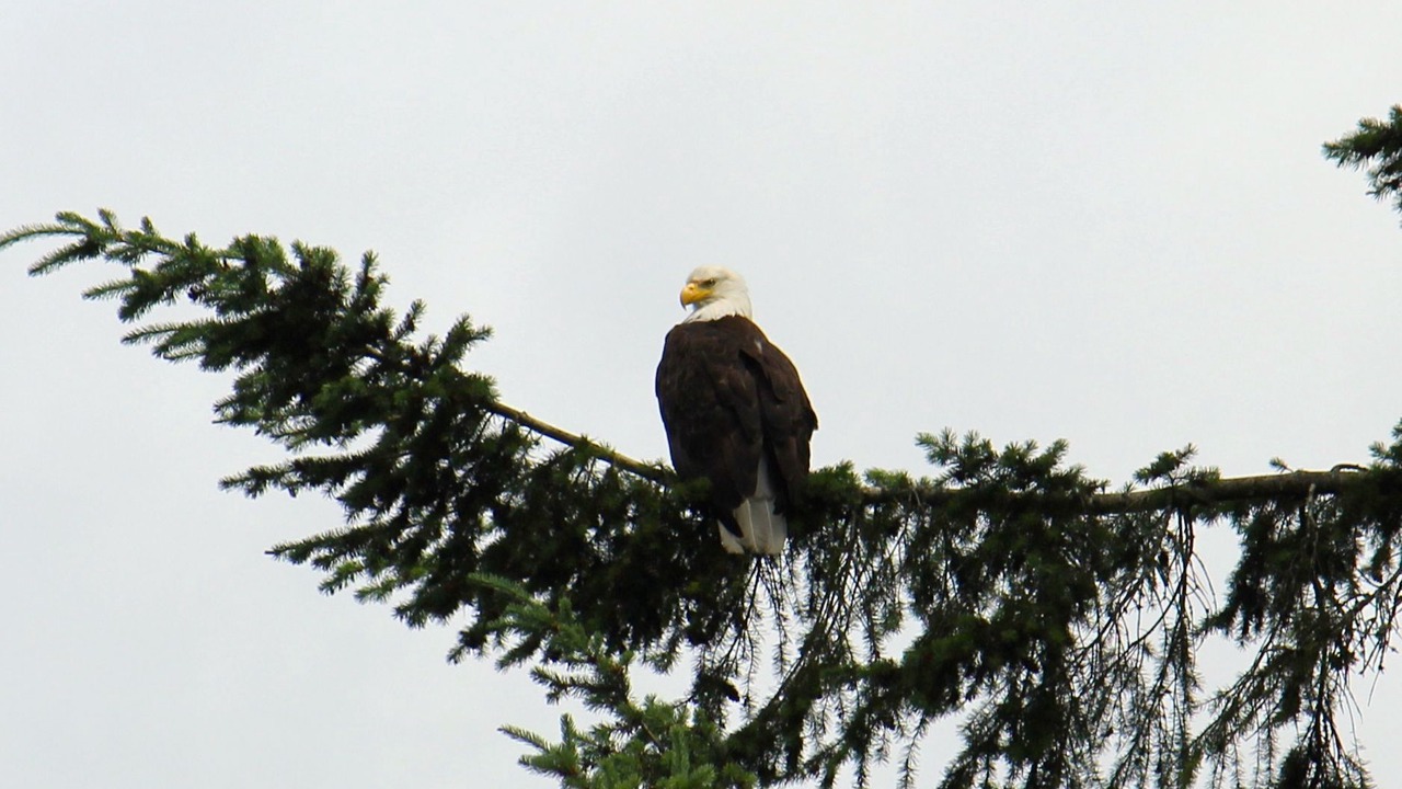 Photo of Others in Deming