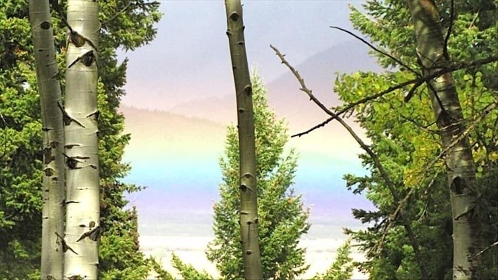 Photo of Outdoor in Island Park