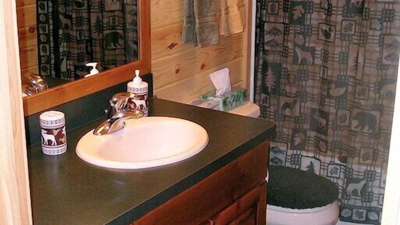 Photo of Bathroom in Island Park