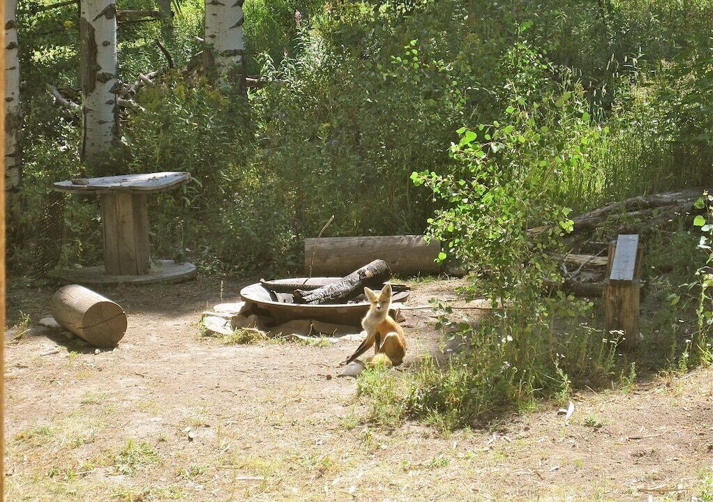 Photo of Others in Island Park