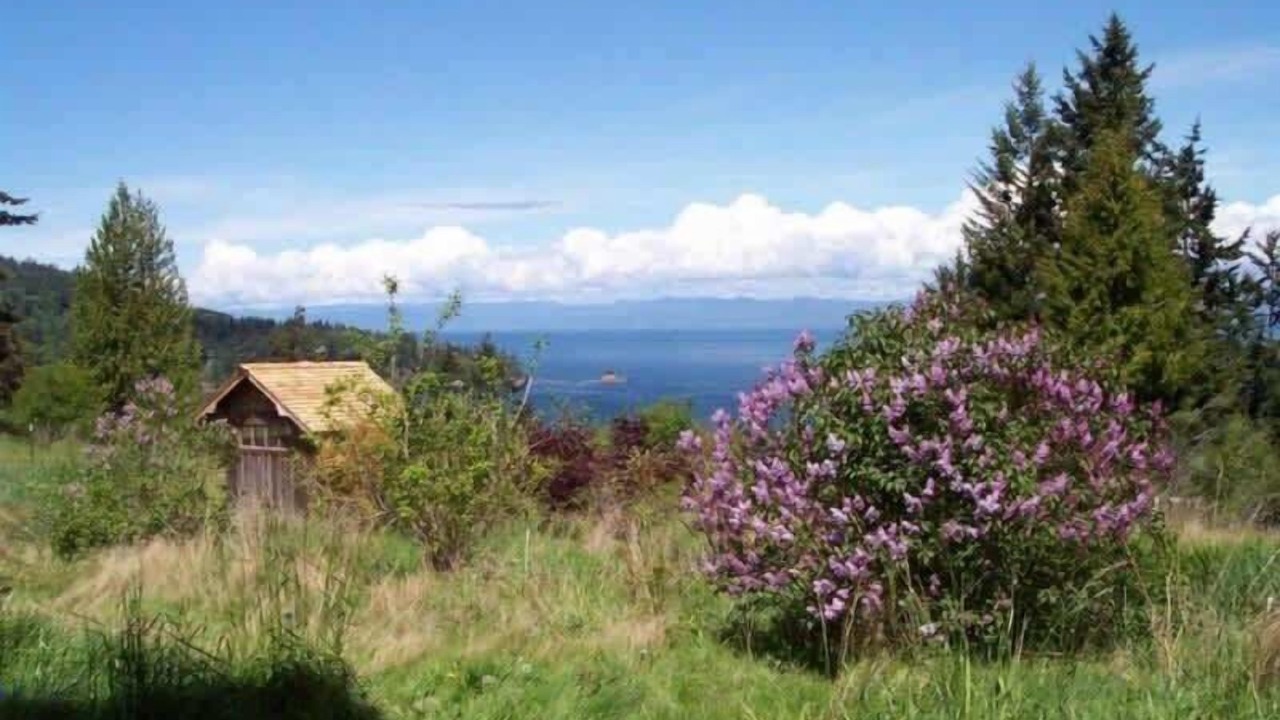 Photo of Others in Port Angeles