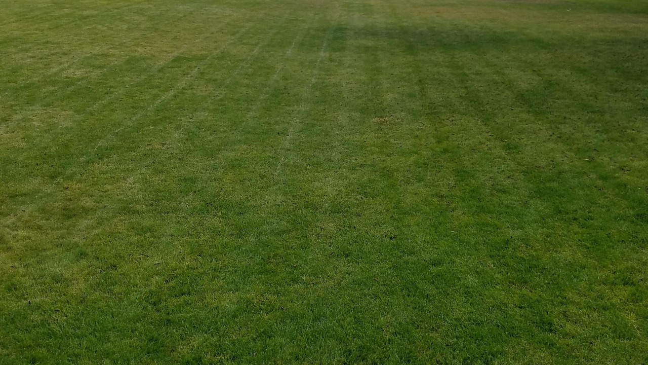 Photo of Outdoor in Afton