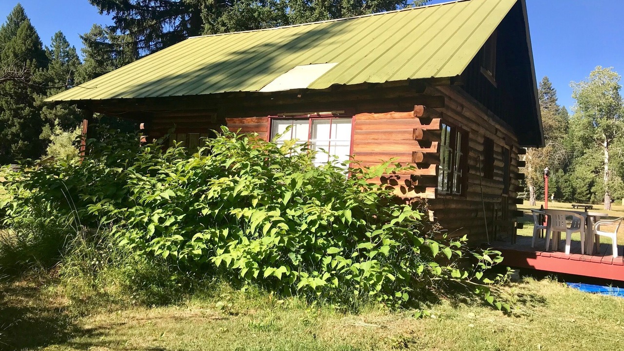 Photo of Others in Seeley Lake