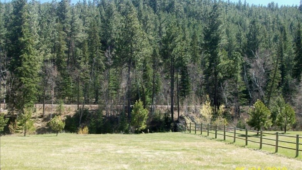 Photo of Others in Keystone