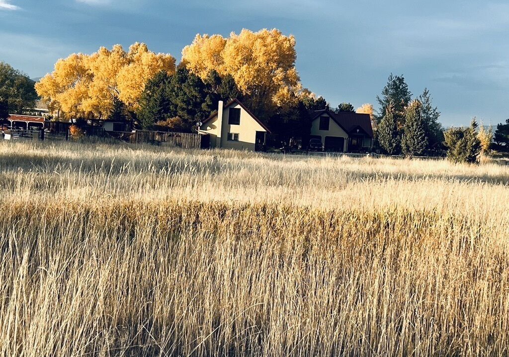 Photo of Outdoor in Livingston