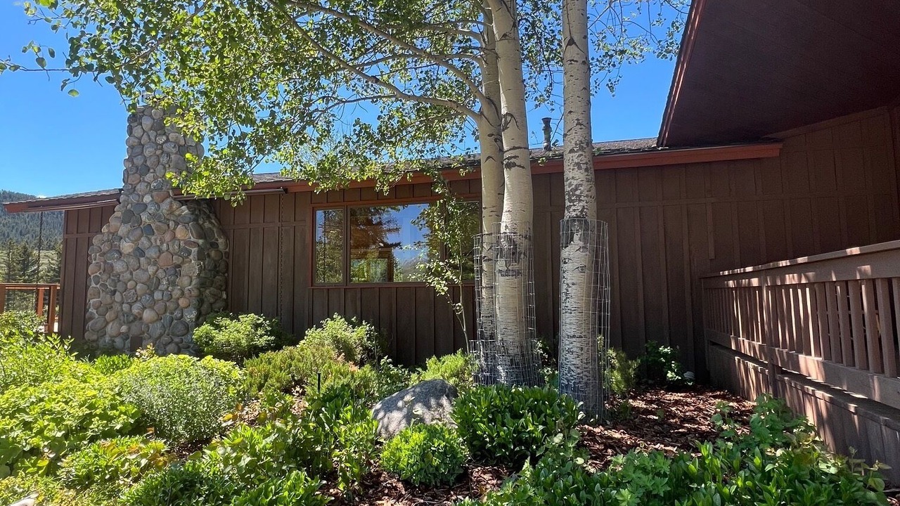 Photo of Outdoor in Cameron
