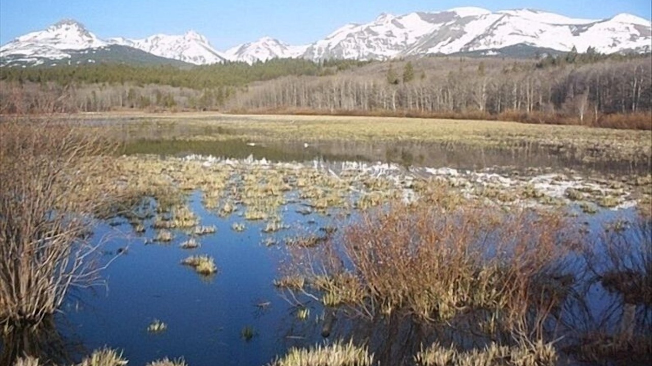 Photo of Others in East Glacier Park Village
