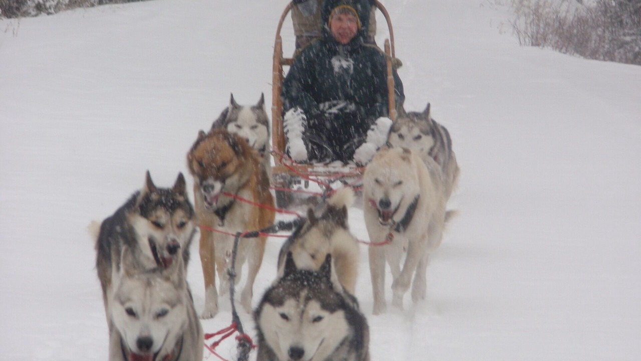 Photo of Others in Gardiner