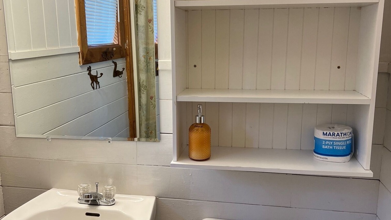 Photo of Bathroom in Seeley Lake