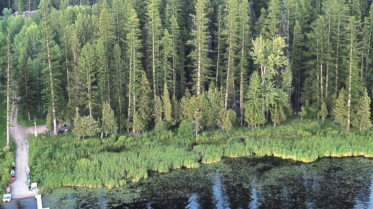 Photo of Others in Seeley Lake