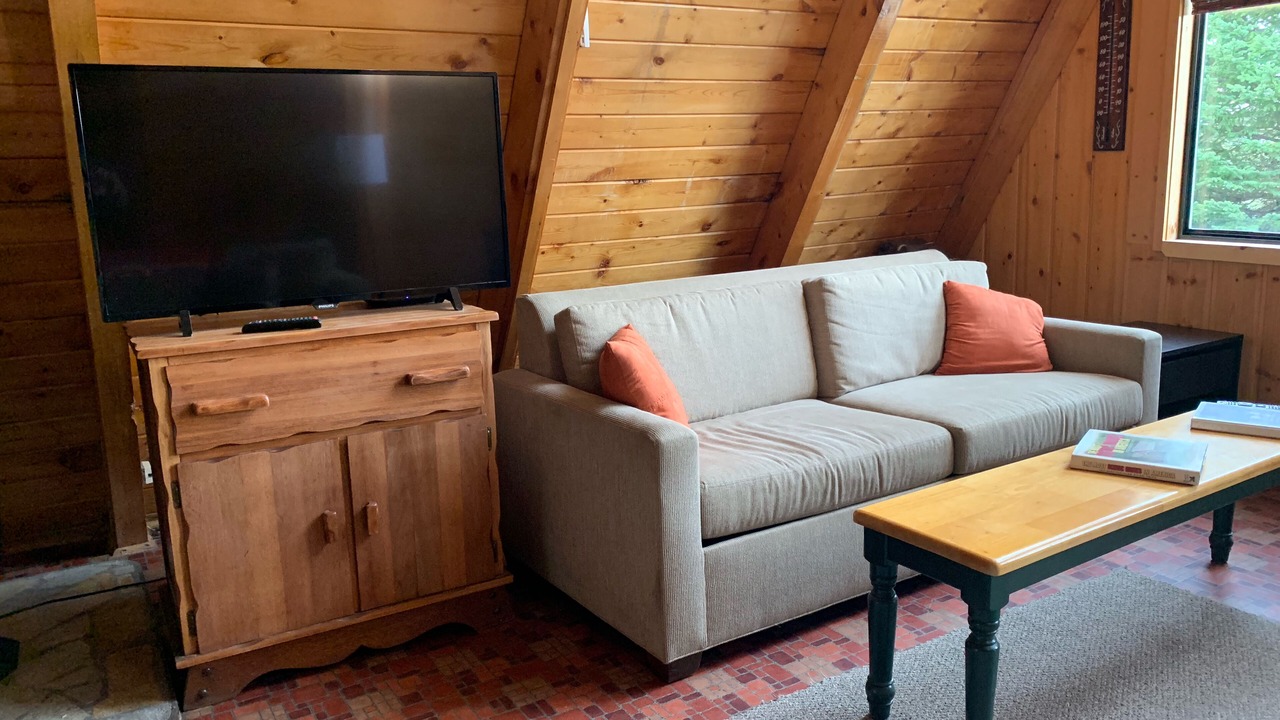 Photo of Livingroom in Last Chance