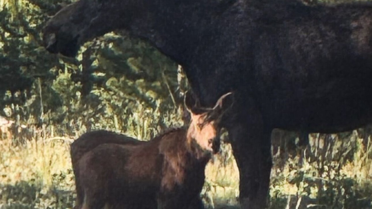 Photo of Others in Dubois