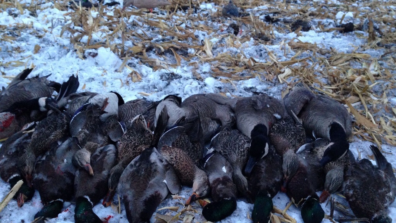 Photo of Outdoor in Hankinson