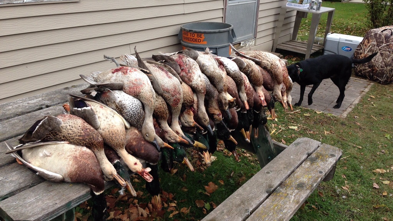 Photo of Outdoor in Hankinson