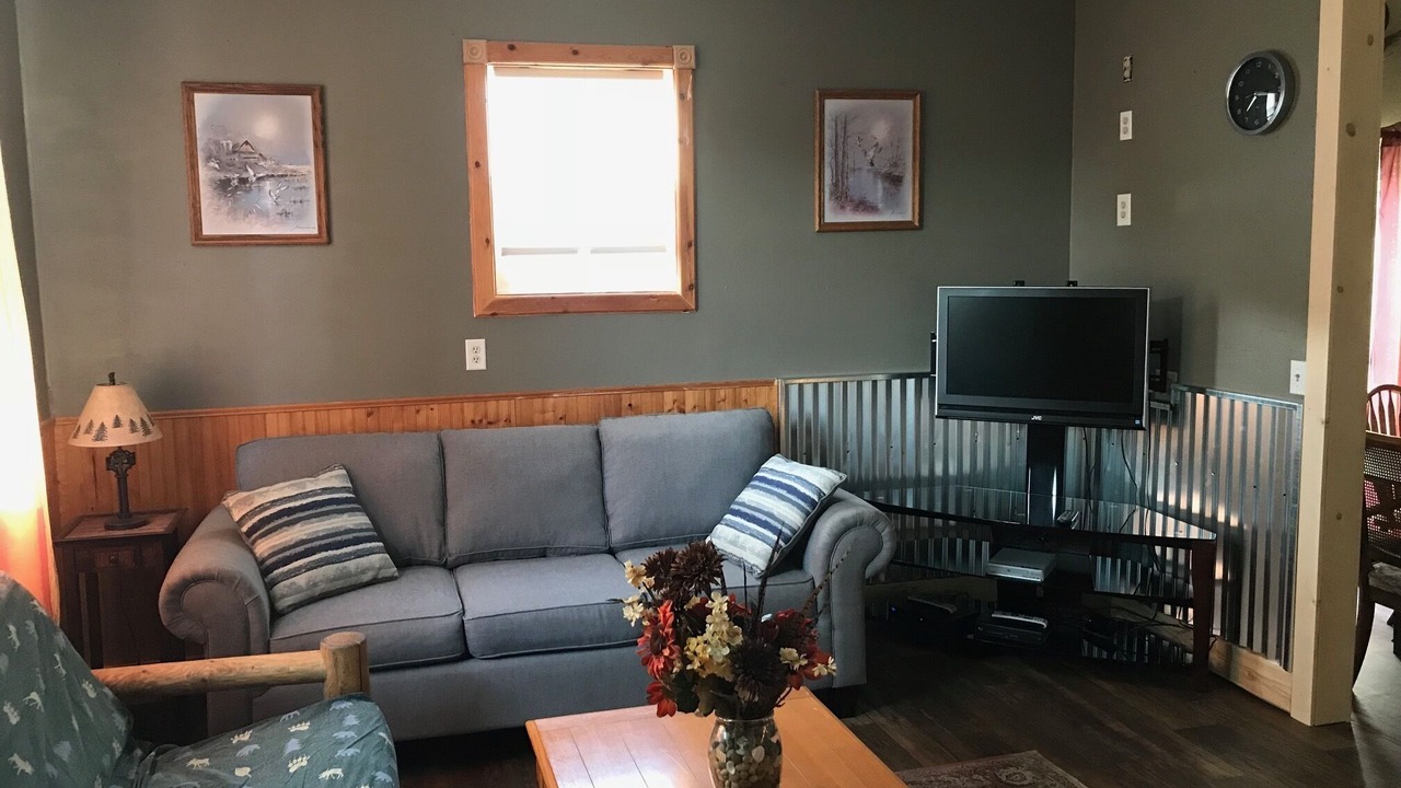 Photo of Livingroom in Hankinson