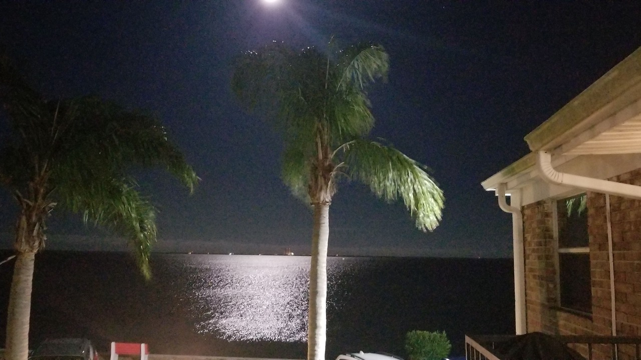 Photo of Outdoor in Titusville