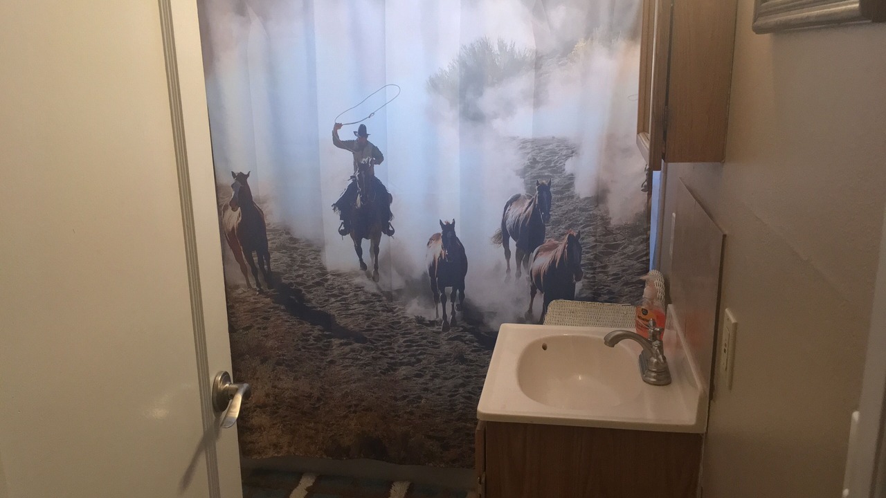 Photo of Bathroom in Powell