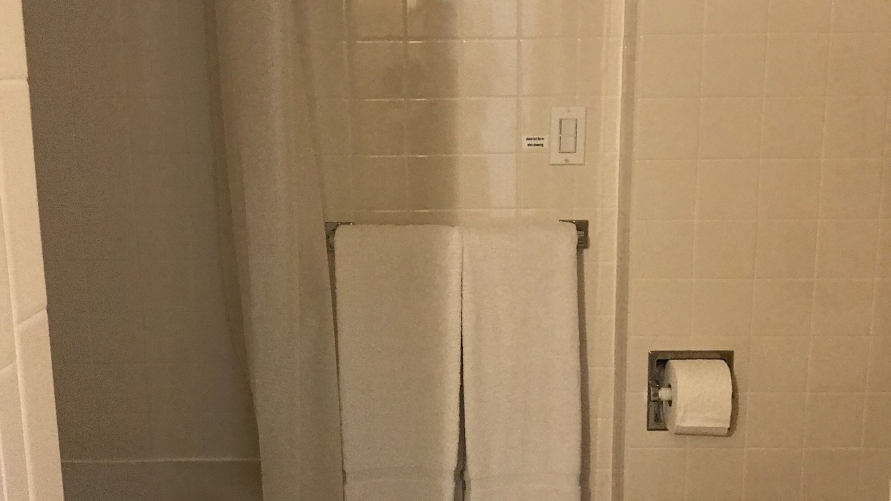 Photo of Bathroom in Hamilton