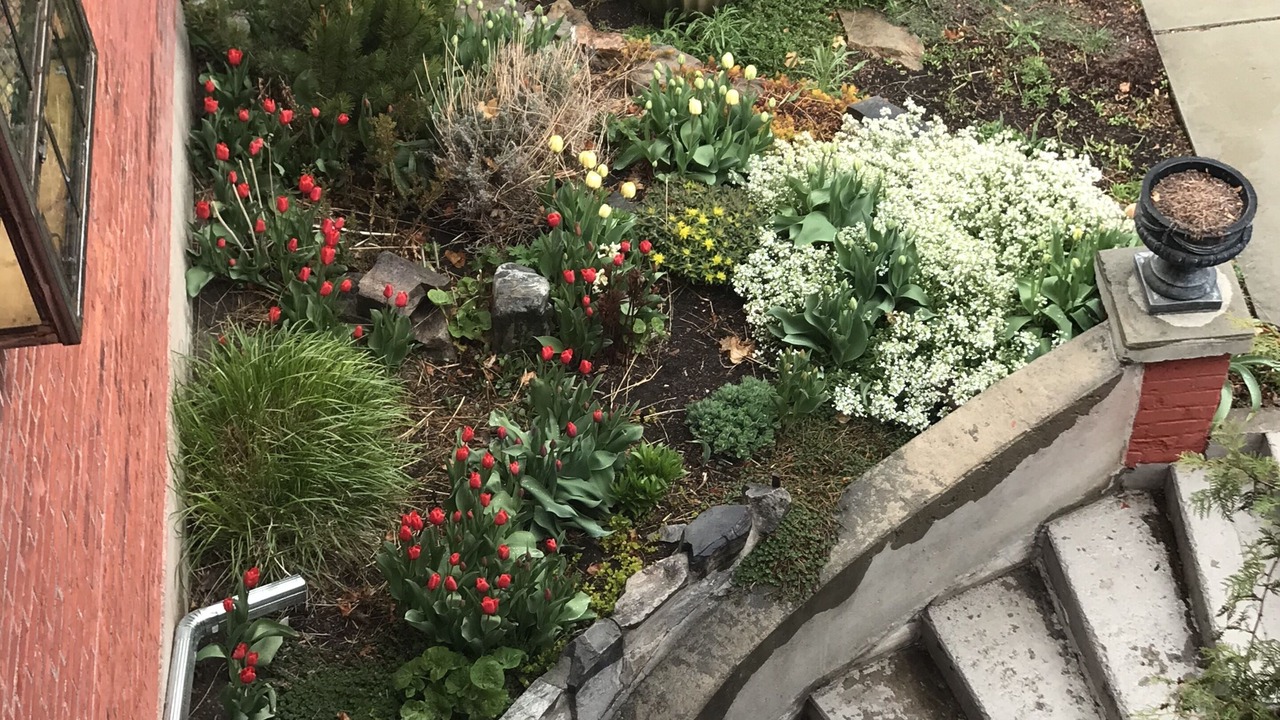 Photo of Outdoor in Hamilton