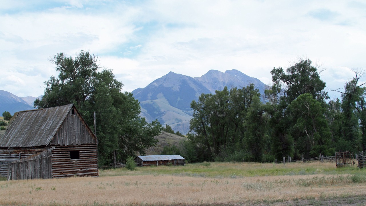 Photo of Outdoor in Emigrant