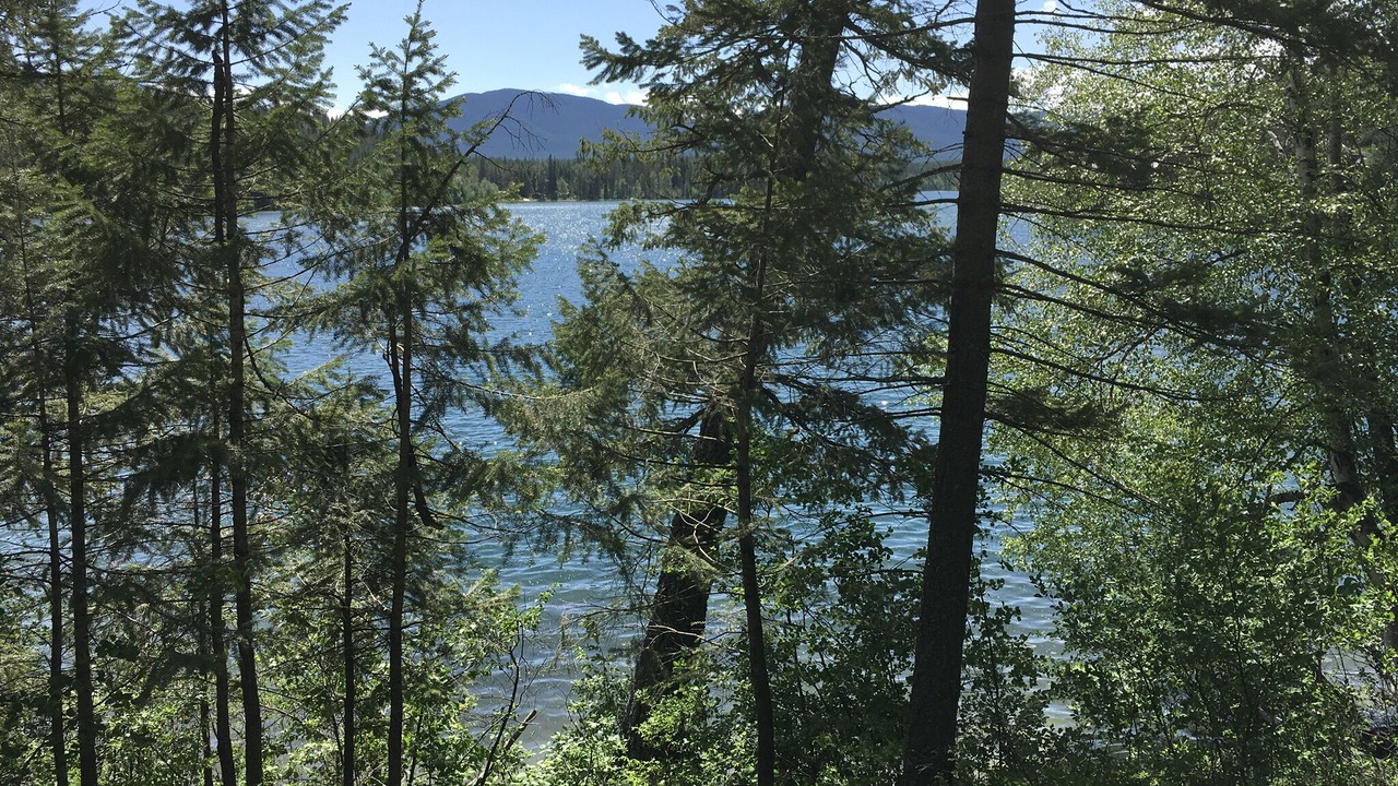 Photo of Outdoor in West Glacier