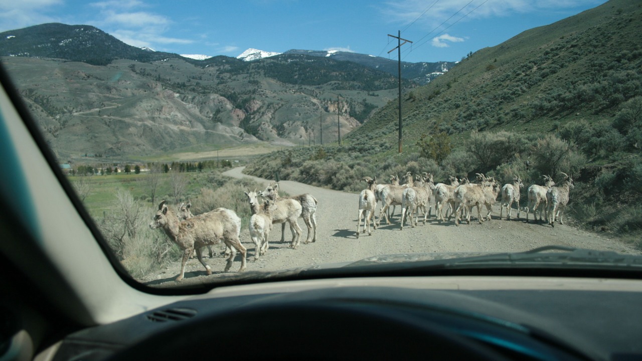 Photo of Others in Gardiner